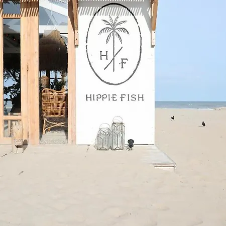 Beachtime * زاندفورت